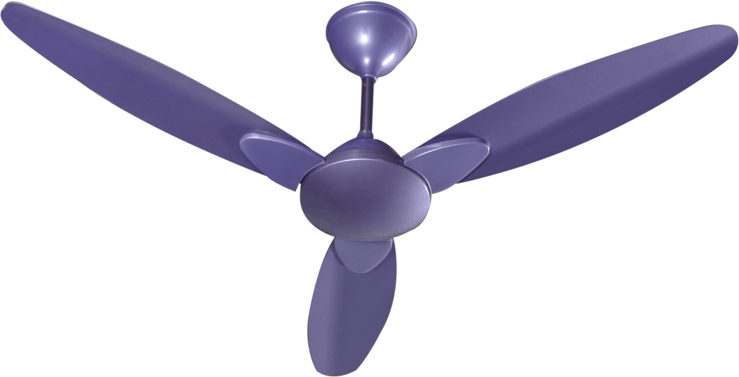 Glorious Fans