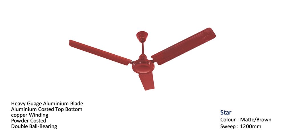 Star Fan