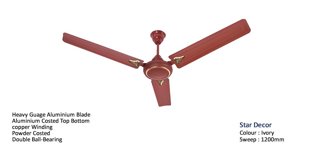Sky Decor Fan