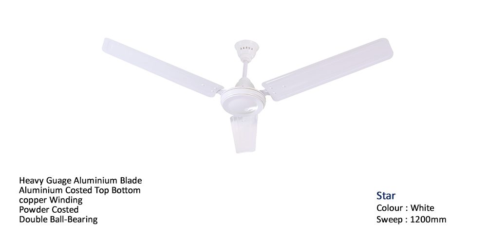 Star Fan