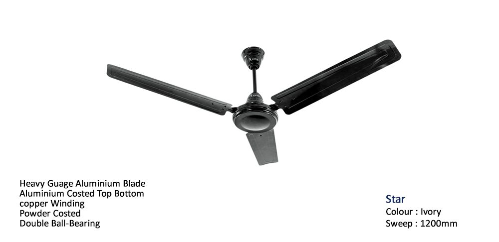 Star Fan