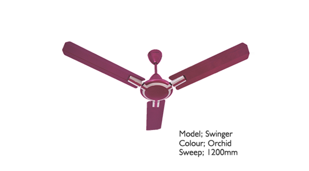 Swinger Fans